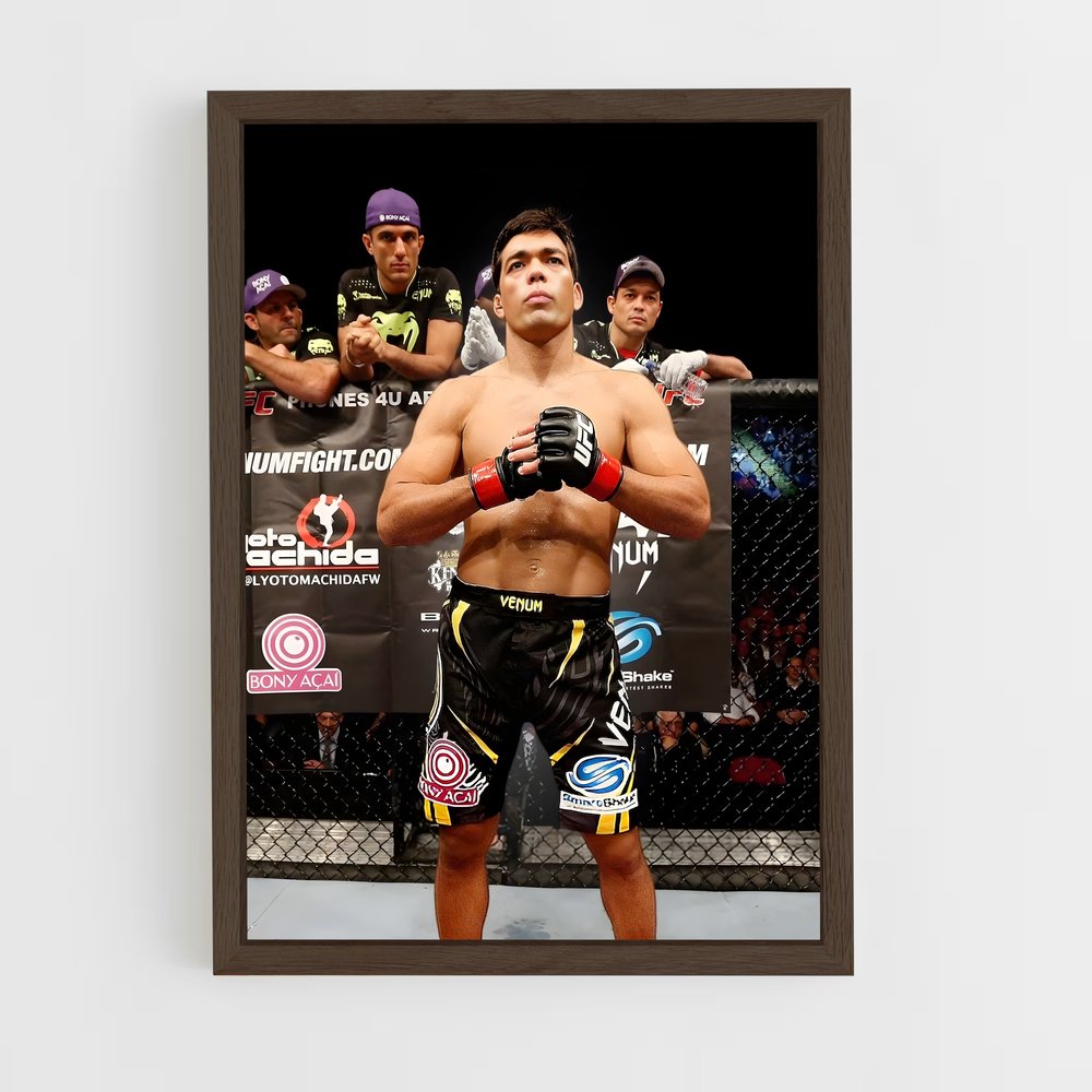 Poster The Dragon's Legacy – affiche MMA (vue 5)